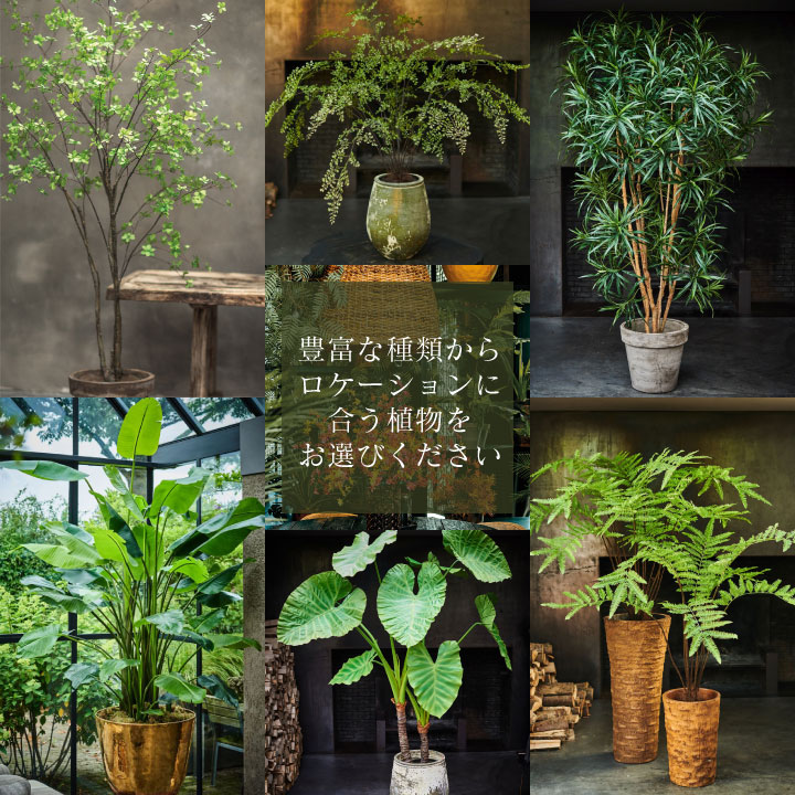 大型 フェイクグリーン「ストレリチア 150cm シルカ（Silk-ka