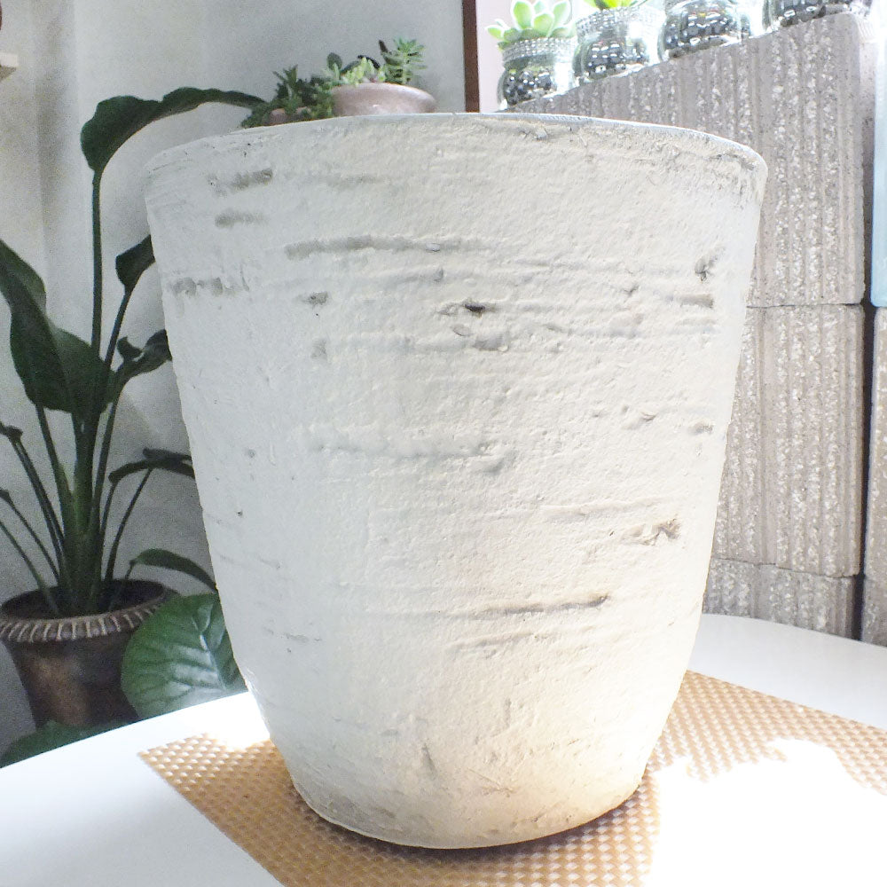 宝石のような観葉植物のお店 【Jewelry Plant】 すてきな白鉢カバー 7