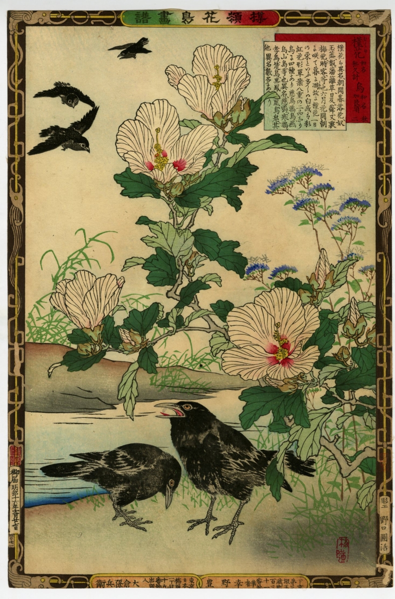幸野楳嶺(こうのばいれい) - 楳嶺花鳥画譜 木槿 烏 - 浮世絵販売