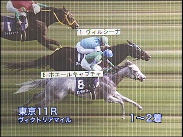 JRAホームページ｜データファイル｜競走成績データ