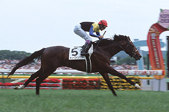 JRAホームページ｜データファイル｜競走成績データ 武豊 リアル