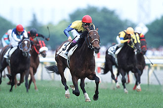 JRAホームページ｜データファイル｜競走成績データ