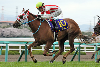 JRAホームページ｜データファイル｜競走成績データ