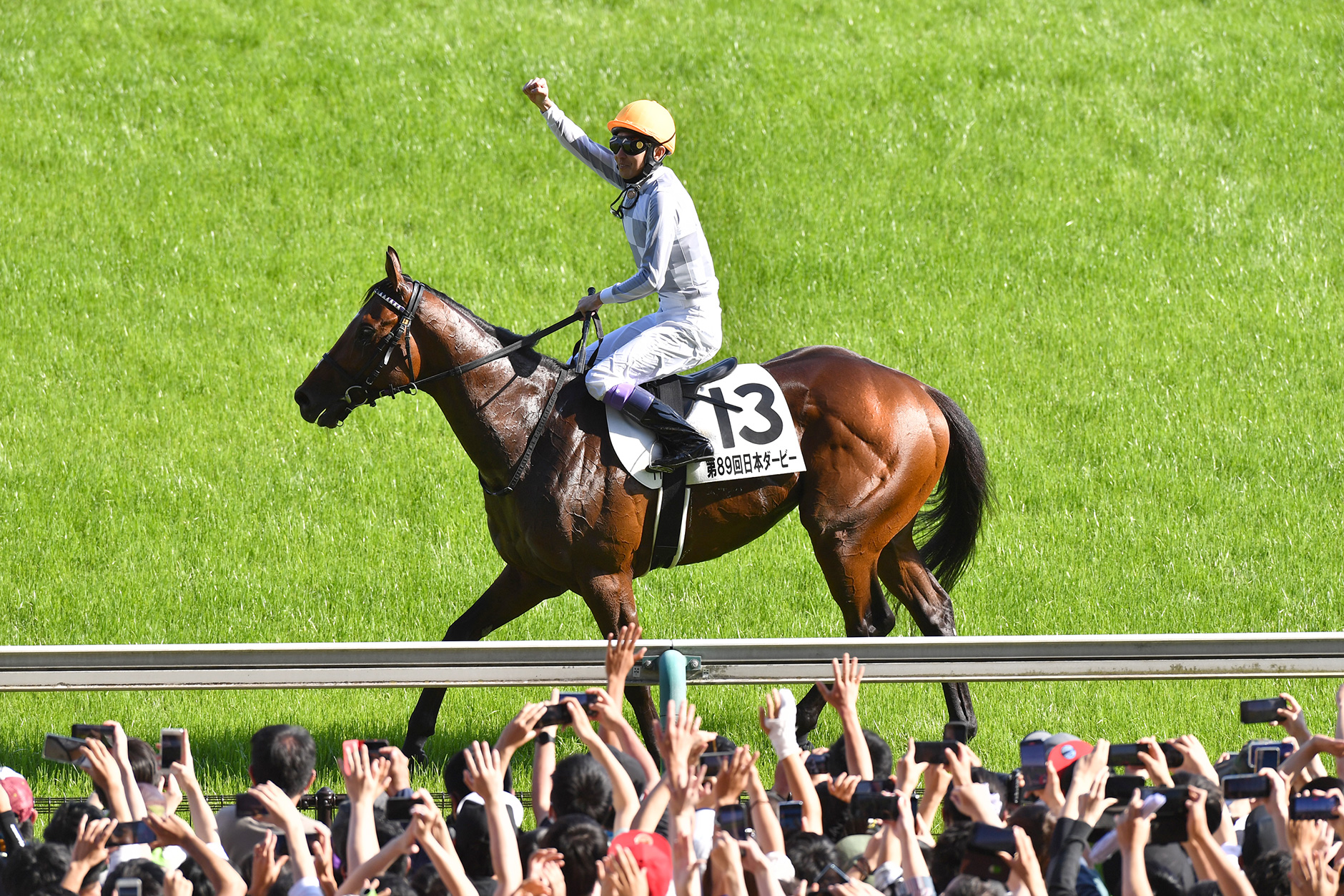 ドウデュース JRA