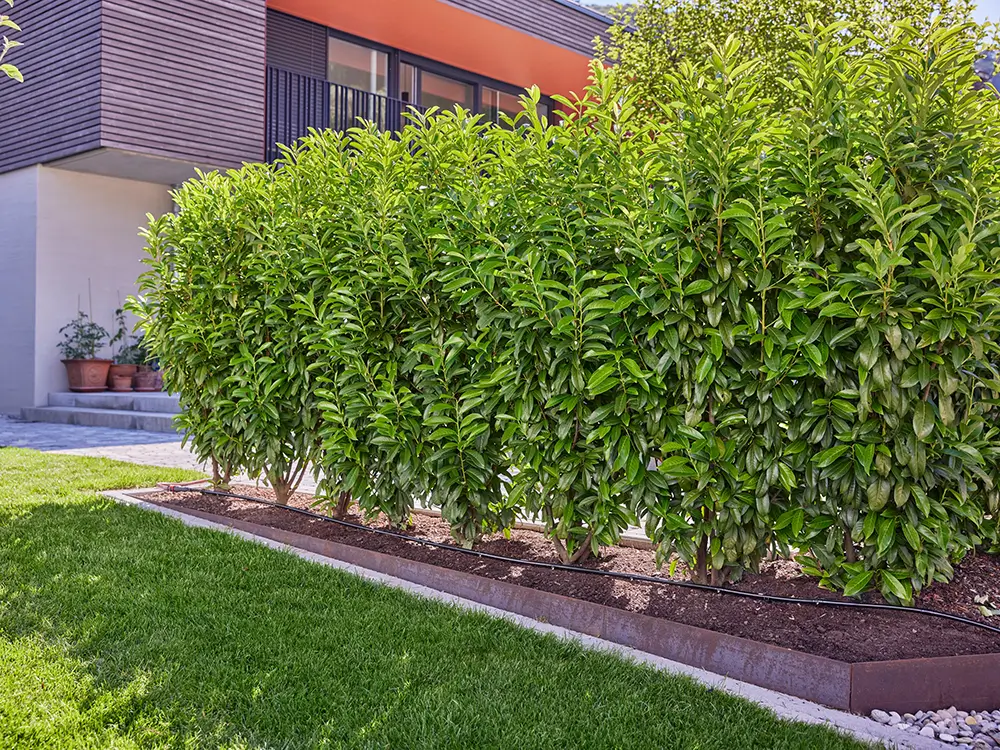 スターターセットF - タカショー 潅水・散水システム