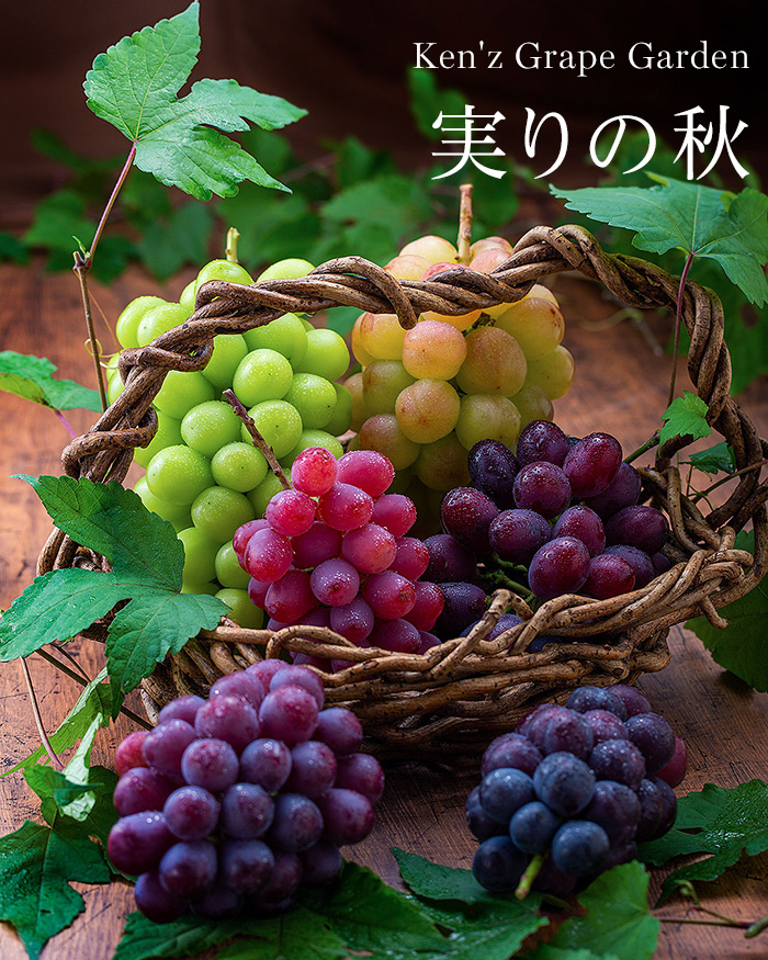 Ken'z Grape Garden ケンズ・グレープガーデン ぶどう狩りができるぶどう園