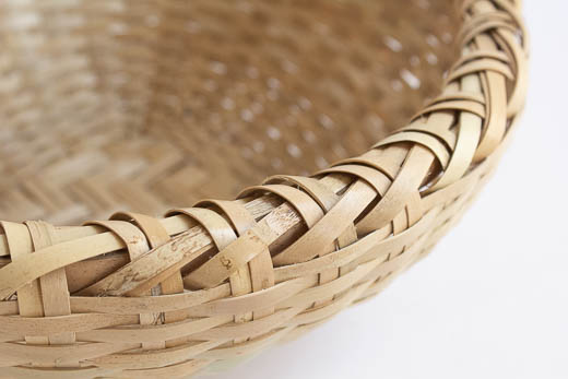 沖縄 ホウライチク バーキ (中)