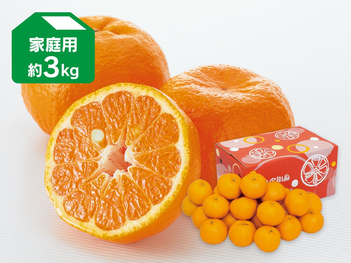 ベルガモット 約1kg 贈答用 | のま果樹園