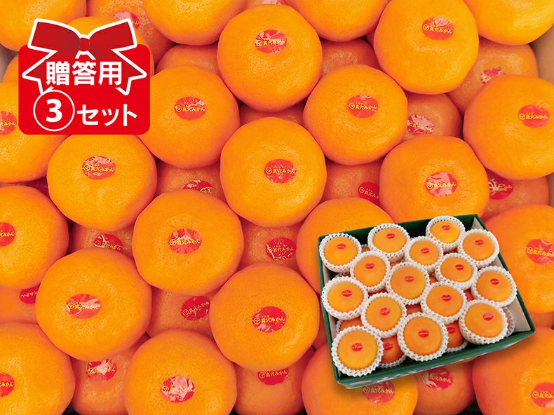 愛媛果試第48号 約5kg | のま果樹園