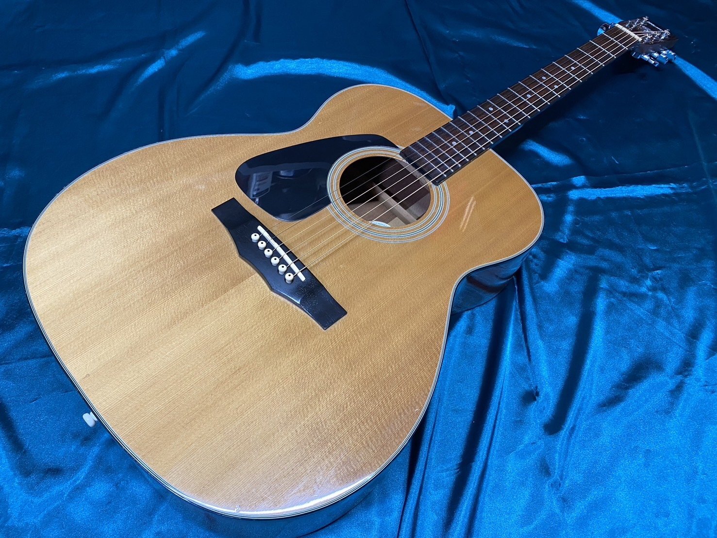 Morris F-01 Ⅱ NAT 比較的綺麗 Morris F-01 Ⅱ NAT 比較的綺麗 Morris