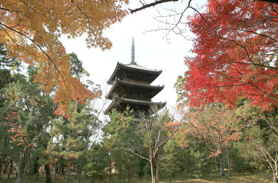 京都府の塔 仁和寺五重塔