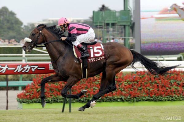 中山の鬼”に競馬ファン熱狂…！記憶に残り続ける名馬（2）驚異の単勝