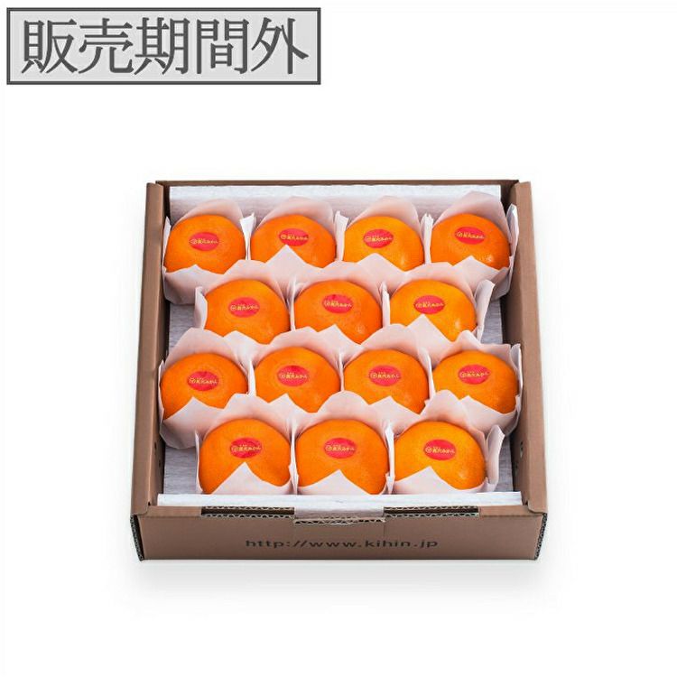 愛媛産】高級真穴みかん 貴賓(きひん)ーブランド｜真網代青果｜特級14個入