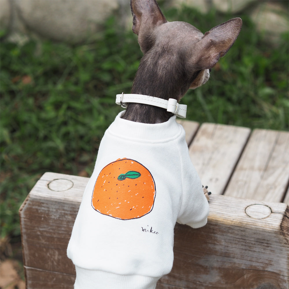 Kodomoparadis｜親子で着れるお揃いTシャツ｜犬用Tシャツ
