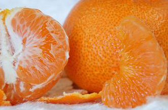 津之輝 【2年生苗】つのかがやき（接ぎ木・素掘り）