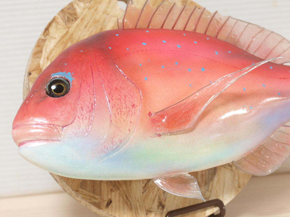 魚にまつわるハンドメイド雑貨｜フィッシュオブジェ・真鯛｜小雑貨魚屋