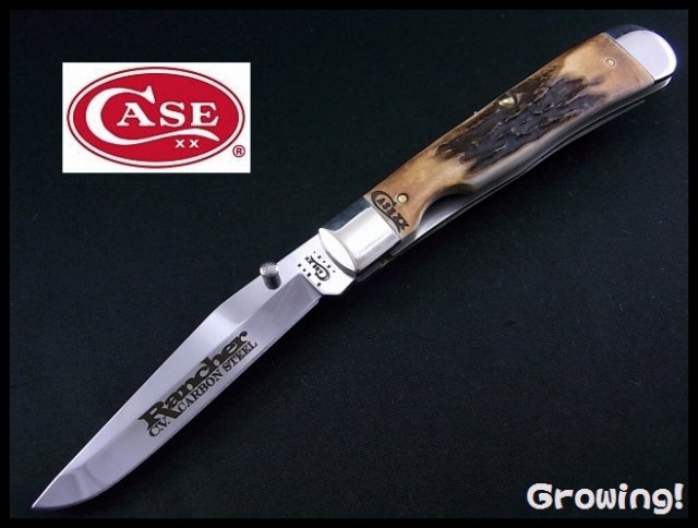 ナイフショップ グローイング！□CASE【ケース】ナイフ□ スタッグ