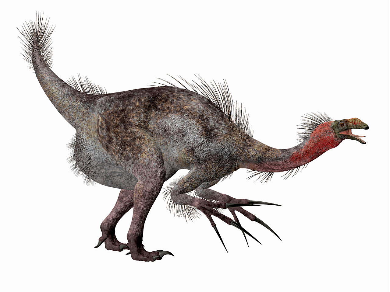 テリジノサウルス(Therizinosaurus) | 恐竜図鑑