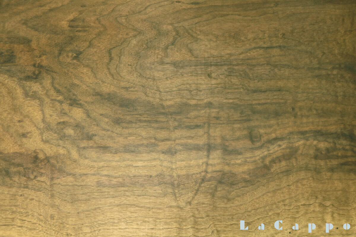 ウォールナット（くるみ材）について – ステッキ専門店【ラカッポ】