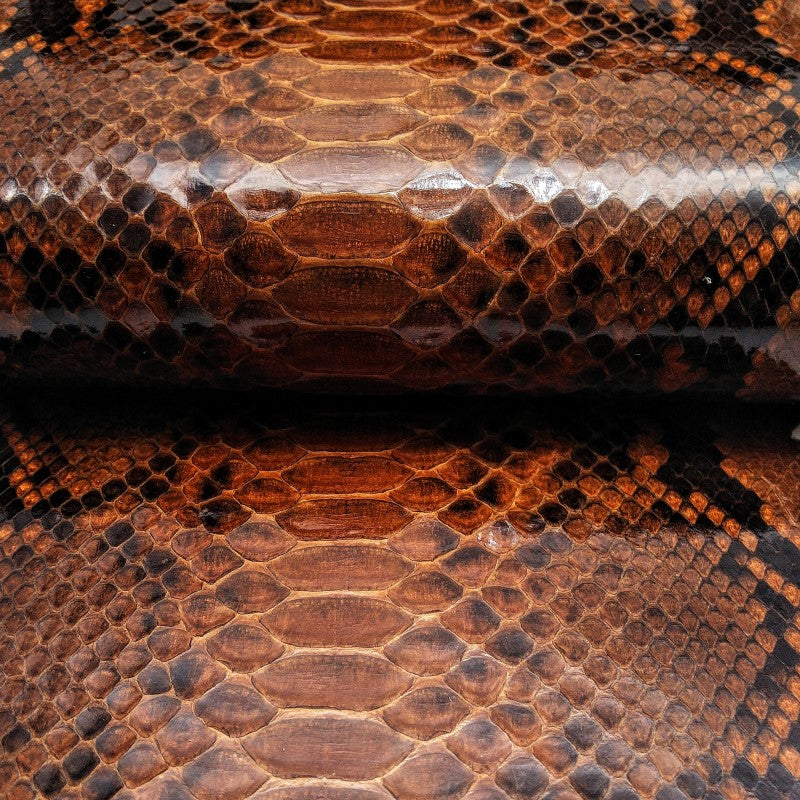 ヘビ革/茶色（カラフル・brown・チョコ）の革素材を販売 – レザー