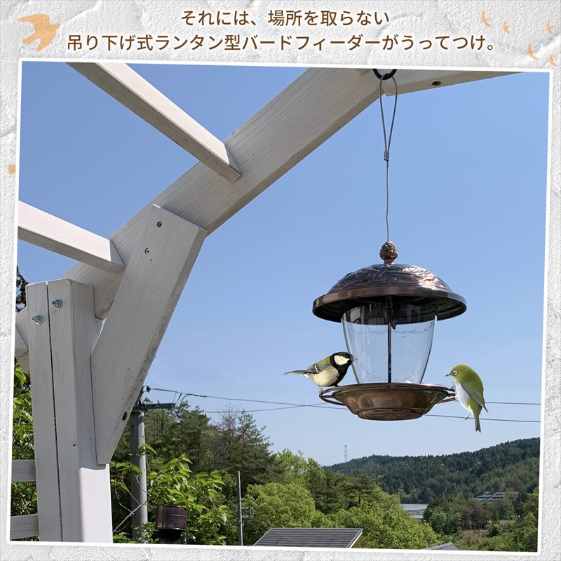 バードフィーダー（小鳥がお庭にやってきます） | ガーデンガーデン