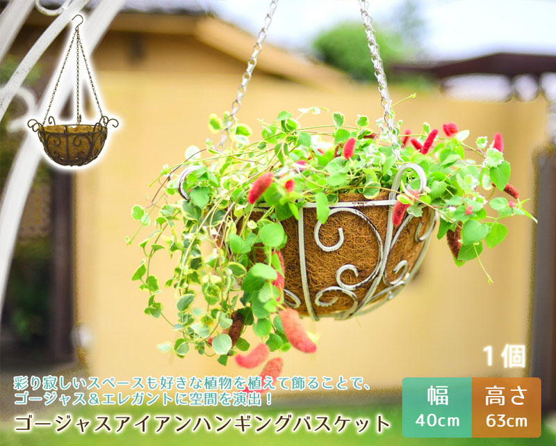 ゴージャスアイアン ハンギングバスケット 【1個単品】 | ガーデンガーデン