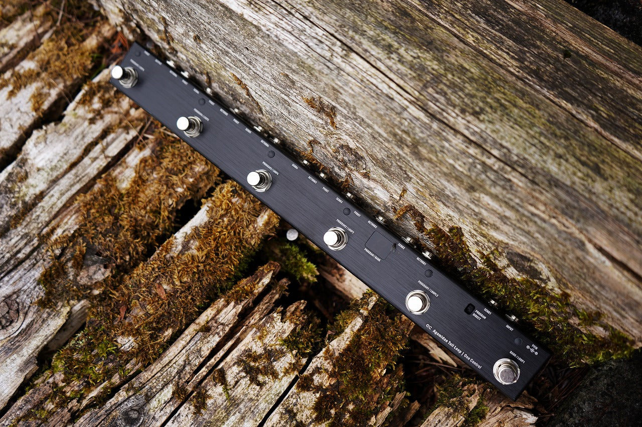 One Control - Agamidae Tail Loop – LEP INTERNATIONAL