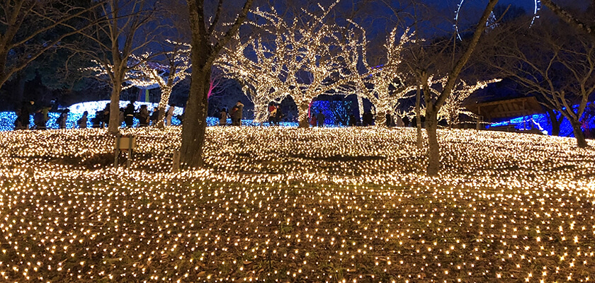 LEDイルミネーション販売 ネットライト（網状ライト）の商品一覧 - LED