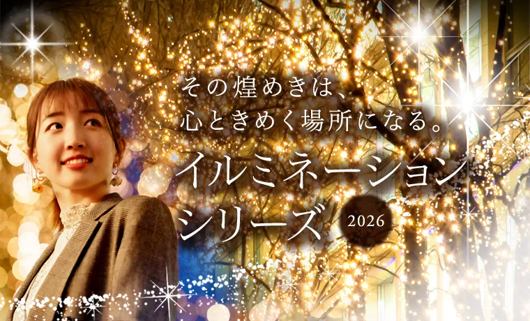 LEDイルミネーション販売通販卸専門店｜全国対応