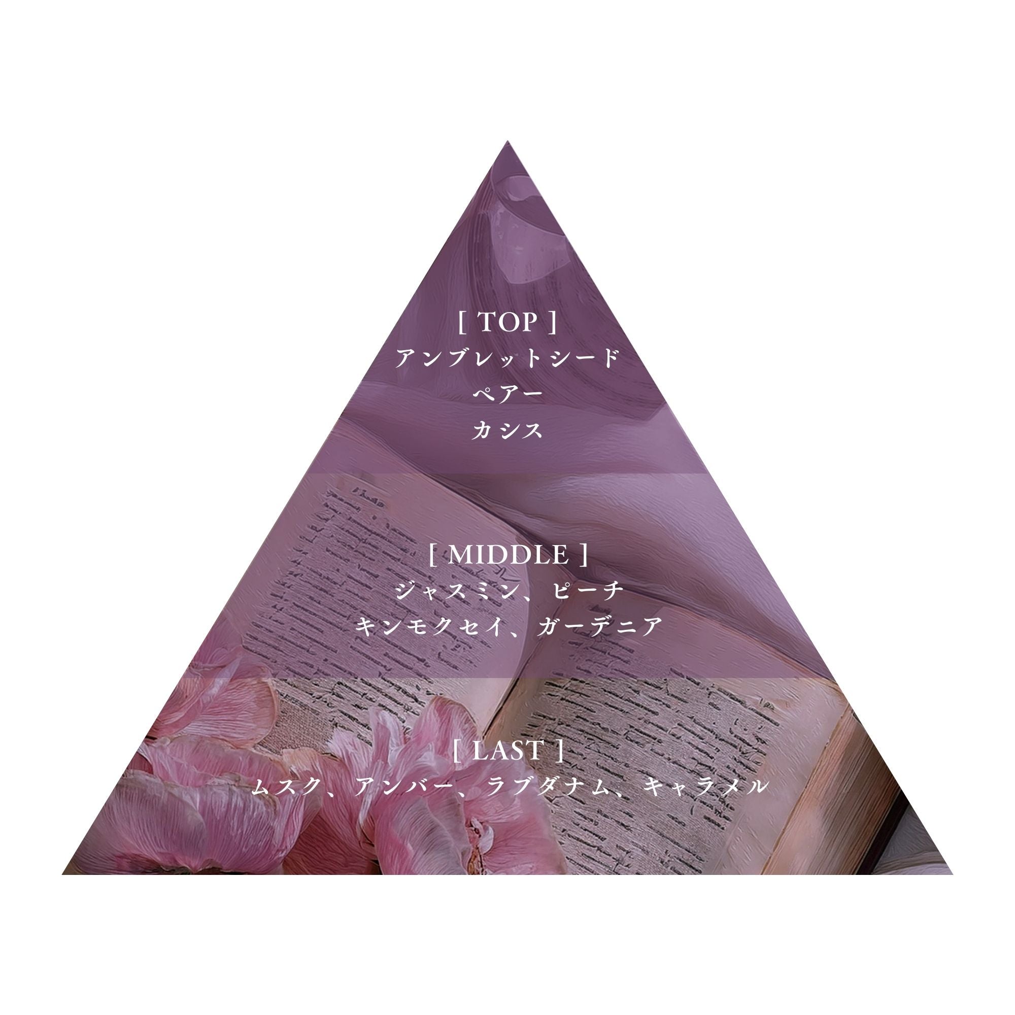 恋の序章 リトル – Libroaria