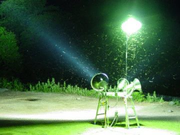 灯火採集(ライトトラップ)とは｜灯火総研