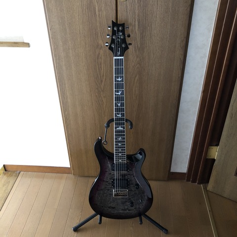 173 PRS SE Custom 24 のペグ交換について : 暮らしについて