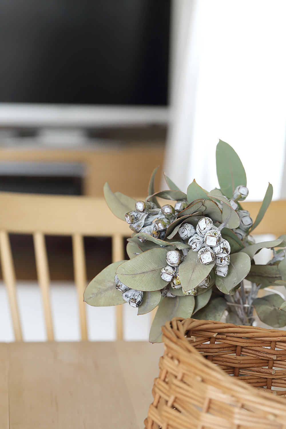 シックな大人のドライフラワー花材】ユーカリの”テトラゴナナッツ