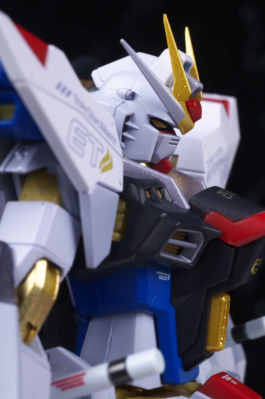 METAL ROBOT魂 ストライクフリーダムガンダム [Re:Coordinate