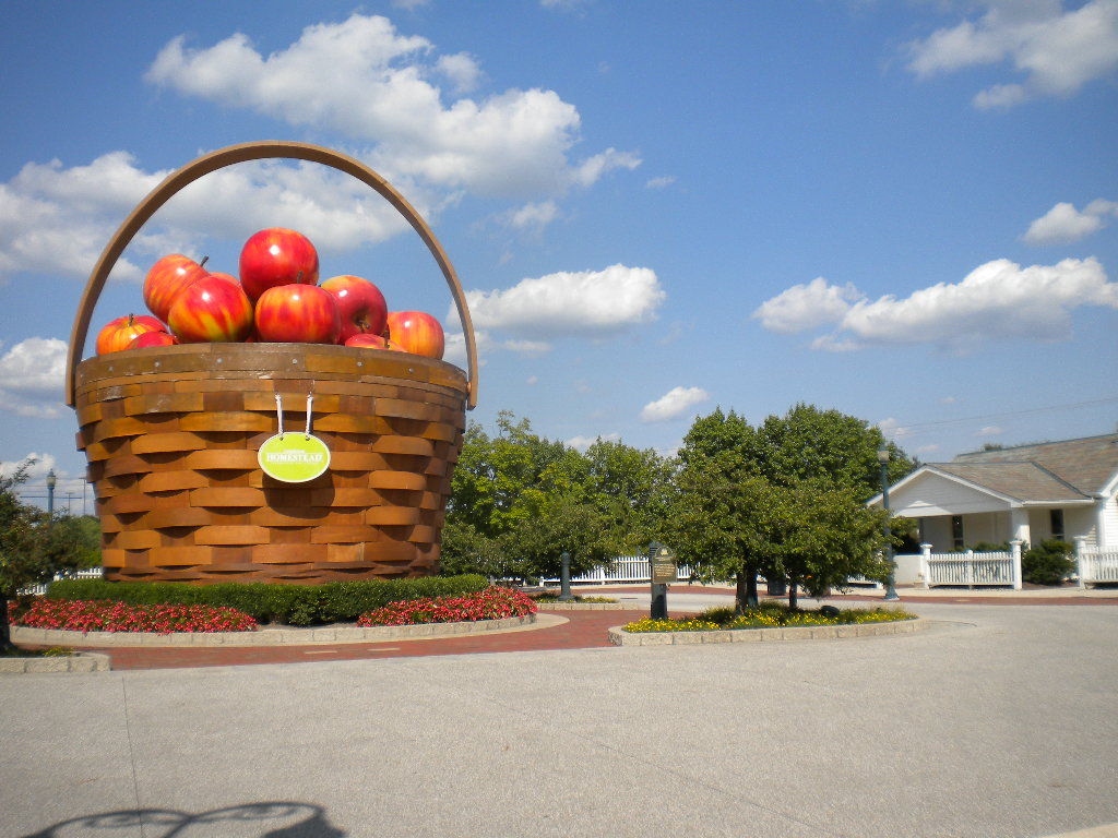 ロンガバーガー : アメリカでも 日本人!（Japanese in America)