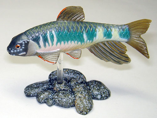 ユージン「原色淡水魚図鑑1 [改訂版] 」レビュー : 食玩トピックス