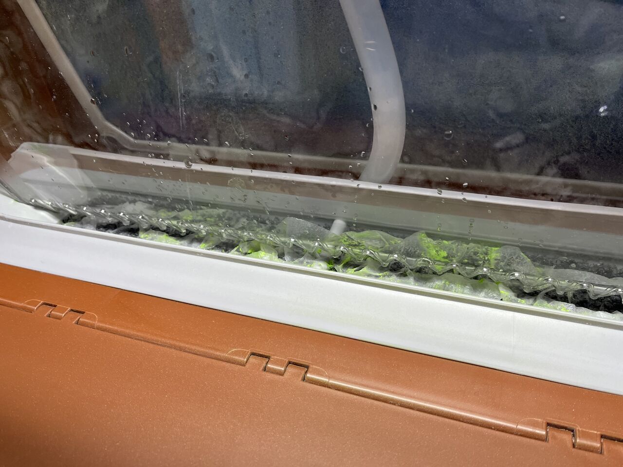 ウォーターブース 「Niagara (ナイアガラ）」 のお掃除 : 瀬戸川模型