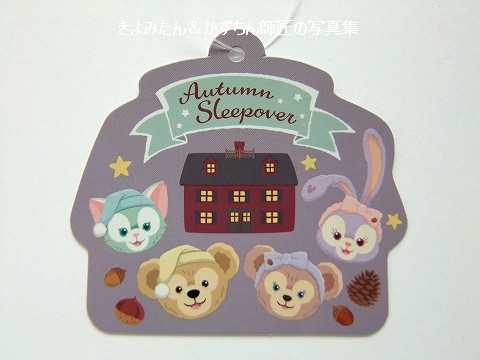 オータムスリープオーバー ダッフィーとシェリーメイの、ぬいぐるみ