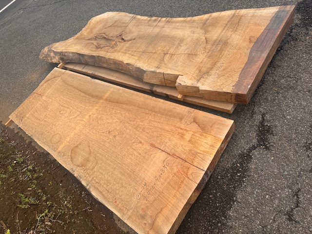 長マ）銘木けやき欅 ケヤキ 幅880他 巨大盤 貴重な乾燥材 杢 一枚板 耳