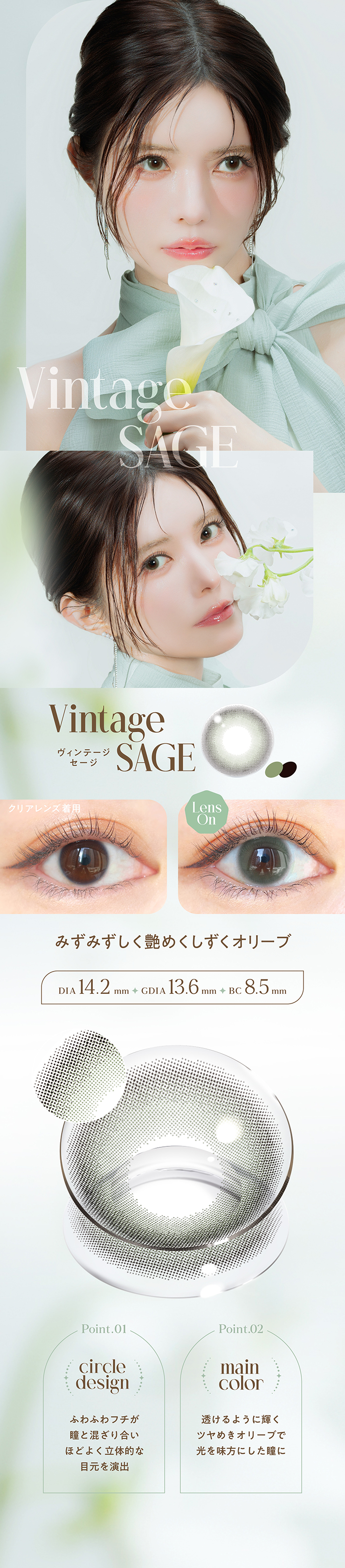 バンビヴィンテージ ヴィンテージセージ (10枚入り) 益若つばさ