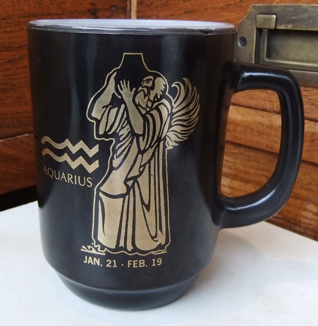 Fire-Kingファイヤーキング ゾディアックマグ（12星座）みずがめ座