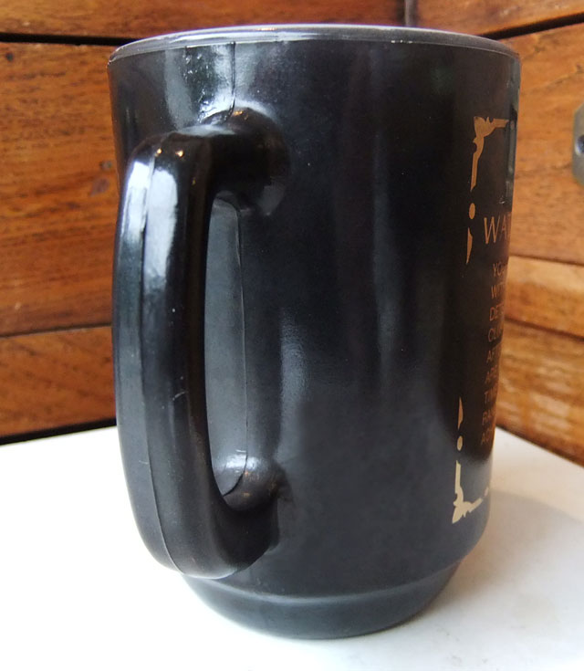 Fire-Kingファイヤーキング ゾディアックマグ（12星座）みずがめ座