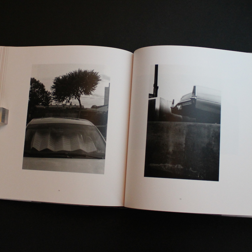 AutoMagic - Ray K Metzker