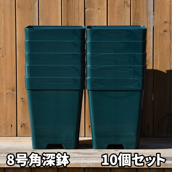 8角×10鉢セット】プレミアローズセレクション【8号角深鉢10鉢セット