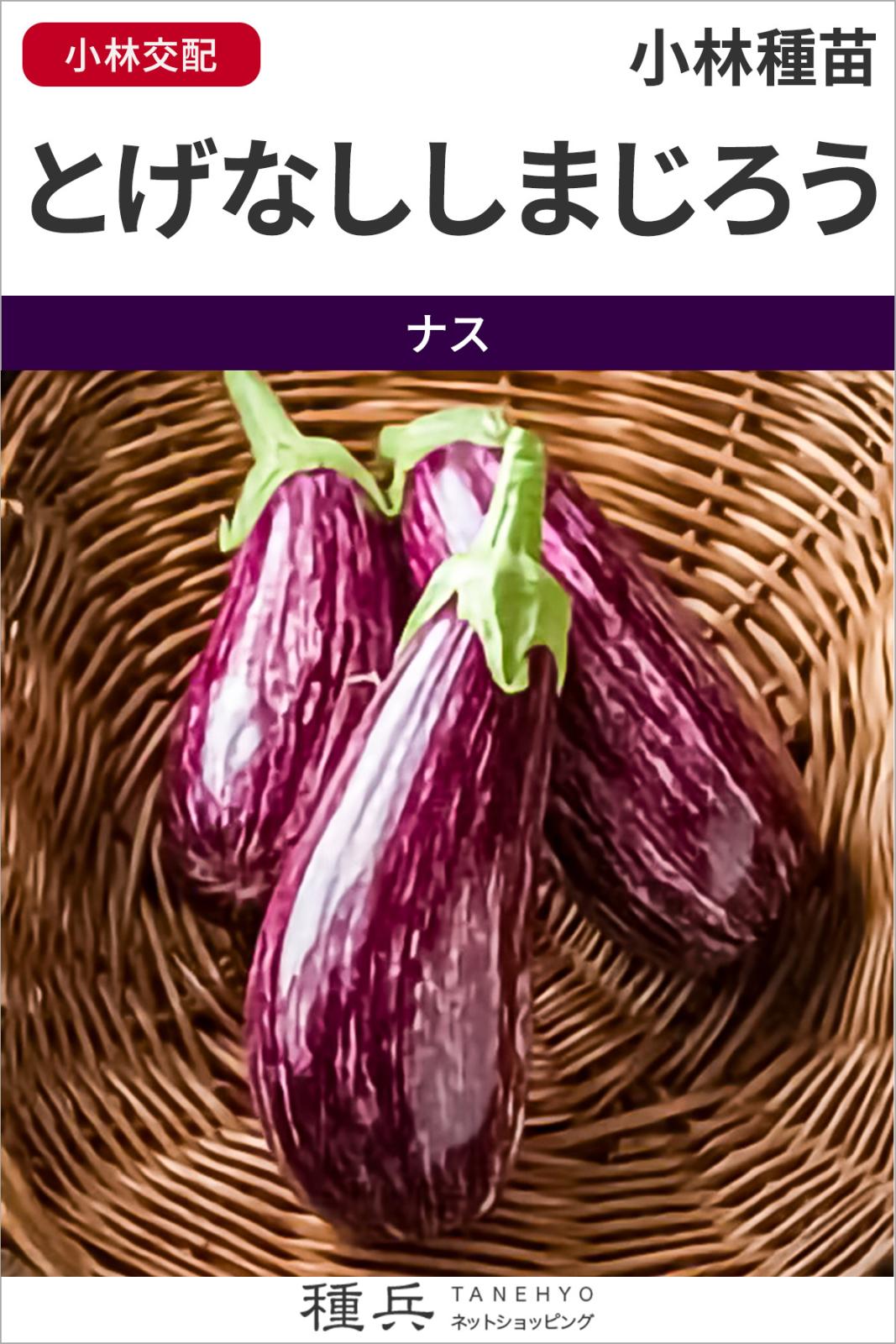 とげなしナス 種 『とげなししまじろう』 小林種苗 | たね,果菜の種