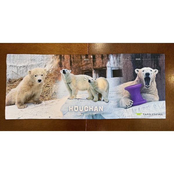 ホッキョクグマグッズ特集 | てんのうじどうぶつえん - 通販サイト