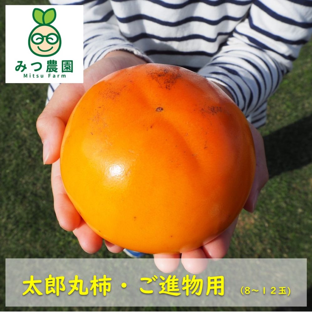 太郎丸柿 進物用 予約2kg （5～8玉）【みつ農園】 ｜鳥取の特産品お