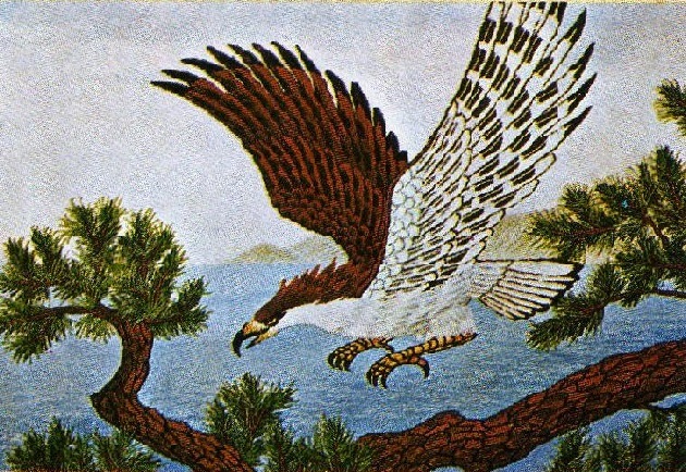 東京文化刺繍キット BSK-236 