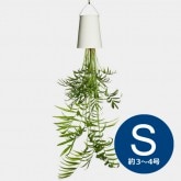 Sky Planter (スカイプランター) / 先端デザイナーズ家具のインテリア