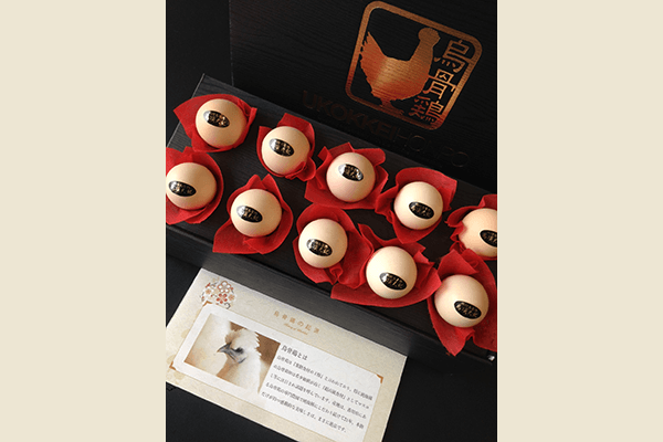 烏骨鶏本舗オンラインショップ | 烏骨鶏卵使用の大人気スイーツ